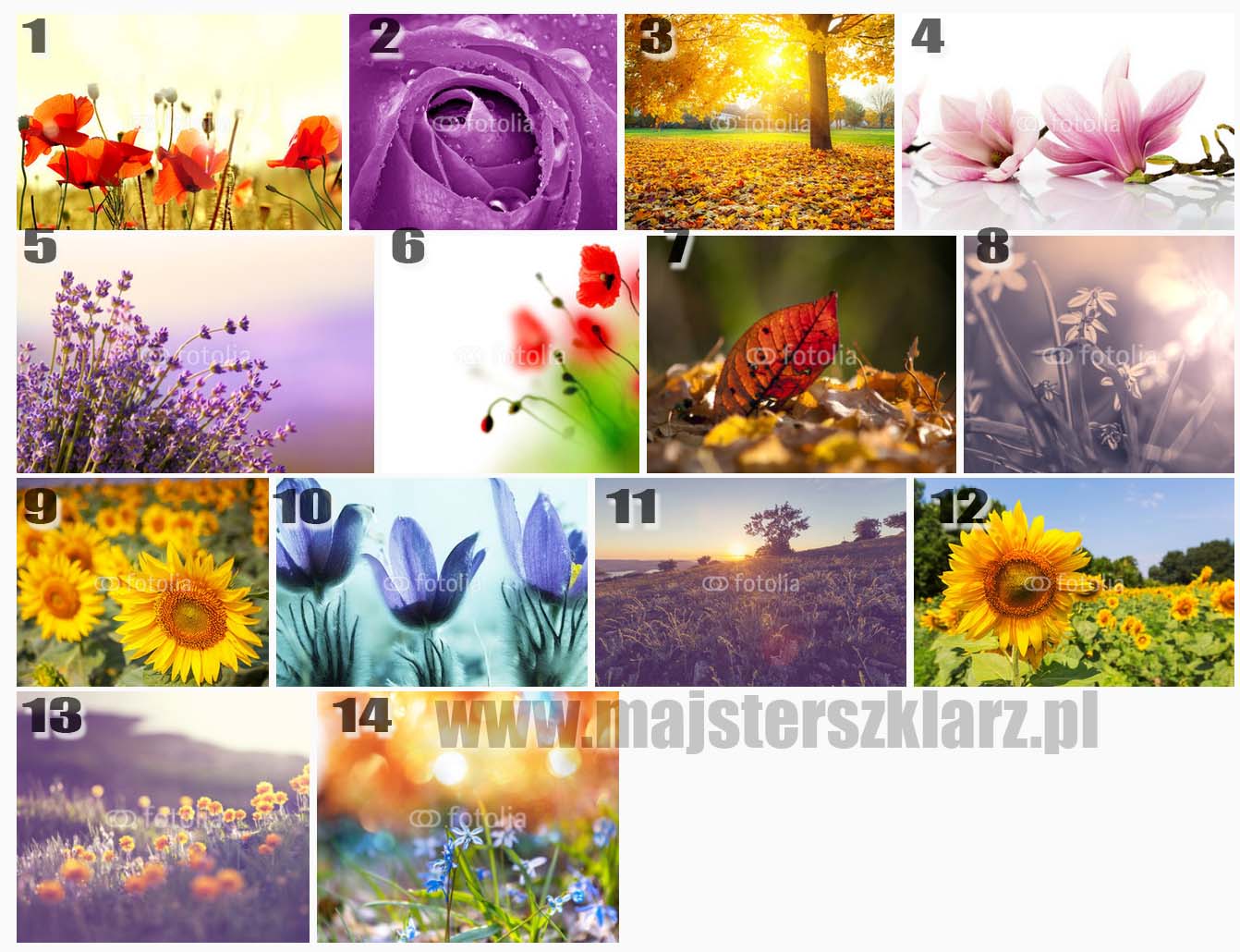 Kwiaty widziane inaczej